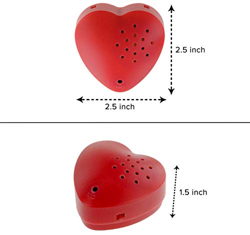 Pacote com 2, som de voz Inventiv de 30 segundos, módulo gravador para brinquedo de pelúcia, urso de