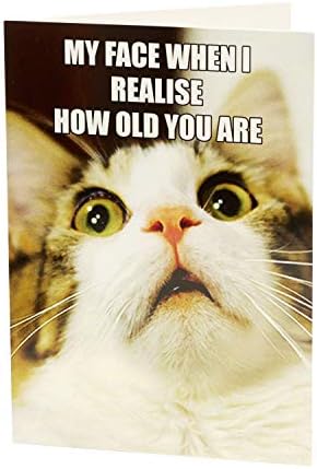 Funny Birthday Card - Funny Birthday Card For Friend - Friend Birthday Card - Birthday Card For Him - Birthday Card For Her - Funny Birthday Card With Meme