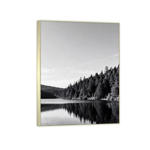 Tableau toile forêt lac noir et blanc décoration murale encadrée