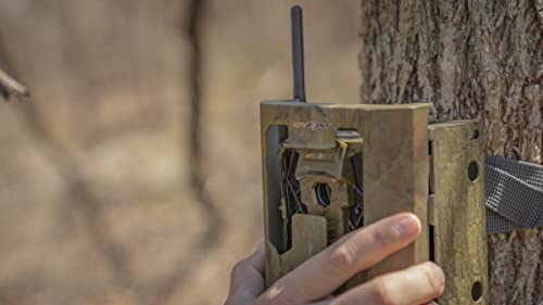 SPYPOINT Cellular Trail Cameras Security Box - SB-200 Steel Security Box fits 42 LED Cellular Game Camera | Protective Heavy Duty Steel Case fit on Cell Cameras for hunting, Trail Camera Lock Box - Thumbnail 3