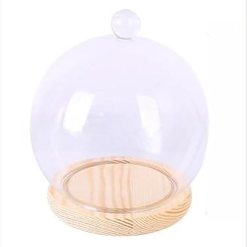 KXh[ KX Jo[ KXh[ ؎x[X KXJo[ KXh[ iωԕr eE EhEbh gC  RNVP[X vU[ht[P[X hCt[P[X (Eh,a10cm)