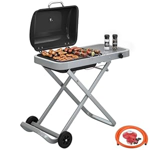 Outsunny Foldable Gas BBQ Grill with Side Table, Portable Gas Barbecue Grill with Folding Trolley, Thermometer, Grease Box, Wheels for Garden Party Camping Picnic Outdoor Cooking, 2.5 kW, Black
