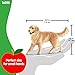 schleich Farm World - 3” Female Golden Retriever Figurine - Realistic Barnyard Dog Figure for Screen-Free Play - Farm Animal Educational Toy for Toddlers - Boys and Girls Ages 3+ | 16395