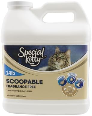 Special Kitty Unscented Litter Jug, 14 lb (1 Jug)
