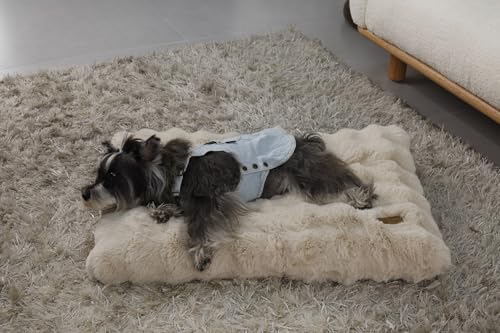 BingoPaw Hundebett mittelgroße Hunde waschbar: Hundekissen flauschig Hundematte für kleine Hund, wasserdicht Hundematratze mit abnehmbar Plüsch Bezug und rutschfest Unterseite, Beige, 76x51x10 cm