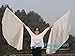 Winged Sirenny 70