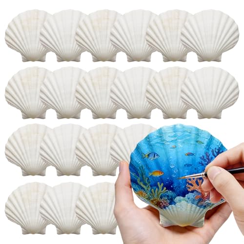 DOODLEBEAN 4-5 30 PCS Large Scallop Shells for Crafts Natural Sea Shells for DIY Crafting White Seashells Bulk for Decorating Painting Ocean Themed Party Supplies & Home Shell Decor