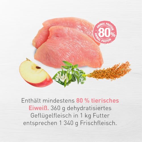 Eminent Puppy | High Premium Hundefutter Glutenfreie |Trockenfutter für Welpen, trächtige und laktierende Hündinnen Kleiner und mittlerer Rassen 15kg 15 kg (1er Pack)