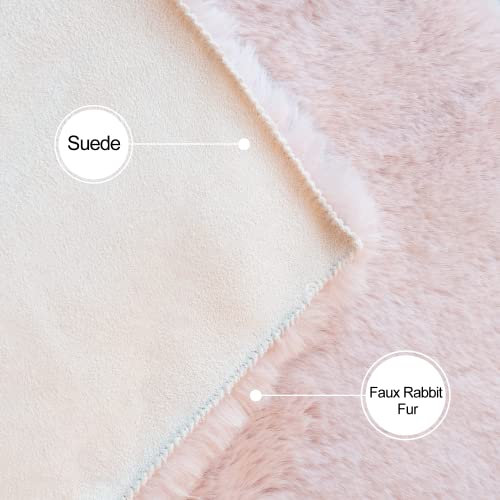 Pink Fuzzy Faux Washable Fluffy Fur Area Rugs for Living Room Cute Small Furry Rugs for Bedroom Kids Rug 2x3 Rug Girls Nursery Rug Rectange Rugs
