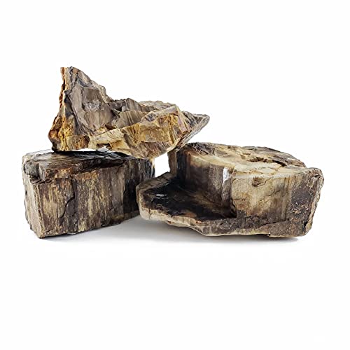 Lifegard Canyon Petrified Aquarium Stone Medium Size Stones 42 Lbs Case Qty