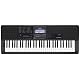 Casio CT-X800 Keyboard mit Anschlagdynamik und Begleitautomatik