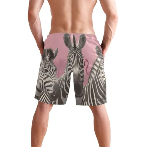Men's Swim Trunks Flamingo Zebra Print, Quick Dry Beach Board Shorts with Lining-S2
