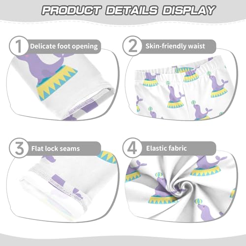 Girls Leggings Circus Fur Seals Juggling Ball Toddler Girls Clothes Leggings for Girls Toddler Girls Leggings 3-4T3