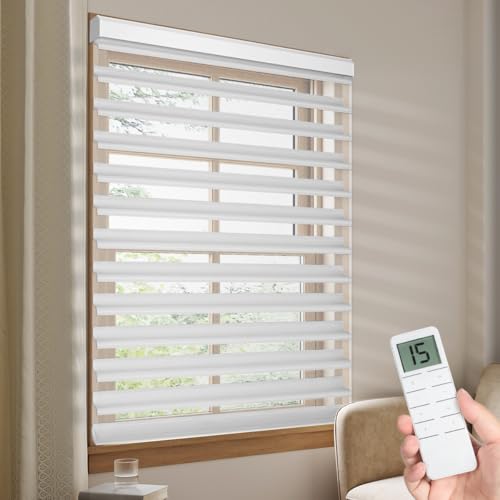 Motorized Sheer Blackout Smart Blind