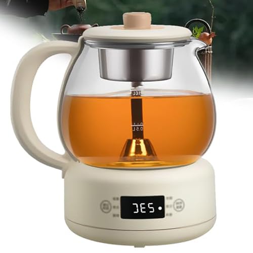 Machine à thé en verre avec contrôle de température 11 niveaux