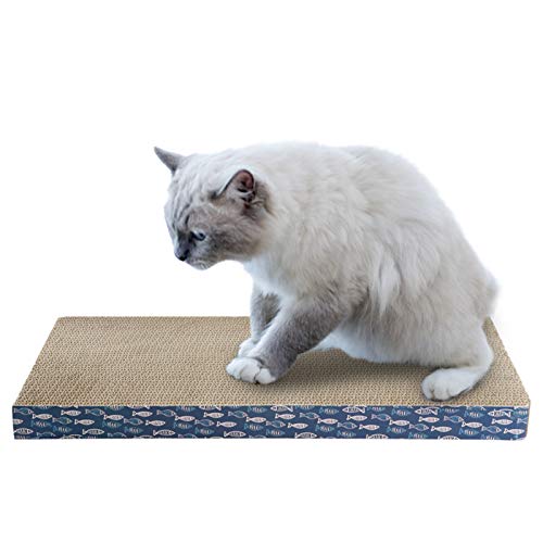 Gato ondulado Adaskala gato esboçado brinquedo catnip para gatos internos e externos