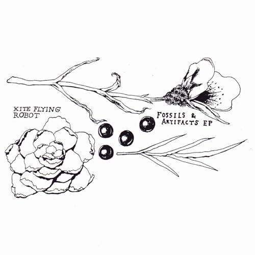 Fossils & Artifacts by Kite Flying Robot on Amazon Music Unlimited
