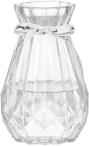 Amazon Co Jp 花瓶 花器 おしゃれ ガラス シンプル花瓶 ミニ花瓶 一輪挿し ドライフラワー 造花 生け花 花瓶ファッション シンプル花器 水栽培 飾り瓶 透明 インテリア 装飾 レトロ風 クリア L ホーム キッチン Amazon Co Jp 花瓶 花器 おしゃれ ガラス シンプル花瓶 ミニ花瓶 一輪挿し ドライフラワー 造花 生け花 花瓶ファッション シンプル花器 水栽培 飾り瓶 透明 インテリア 装飾 レトロ風 クリア L ホーム キッチン