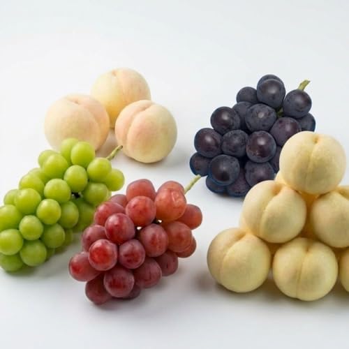 [定期便5回] 岡山白桃、シャインマスカット晴王、ブラックシャインマスカット、ぼっけぇピオーネ、冬桃がたりの5回コース [040-a015]