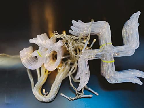 Image of IMPRESSION LIGHTS Toran Light Om and Swastik Warm-White Lighting for Indoor Use Decorative Lighting-Pack of 1