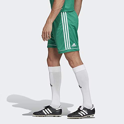 Adidas Squad 17, Pantaloncini Uomo, Verde