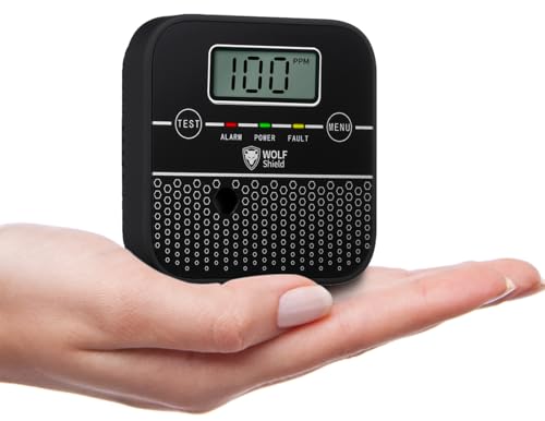 Détecteur de monoxyde de carbone Alarme de CO Batterie scellée 10 ans d'autonomie Mini détecteur...