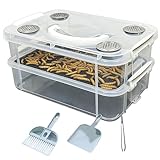 Boîte d'observation transparente à deux couches pour entomologie, école, enseignement, école, école, école, école, école, sciences