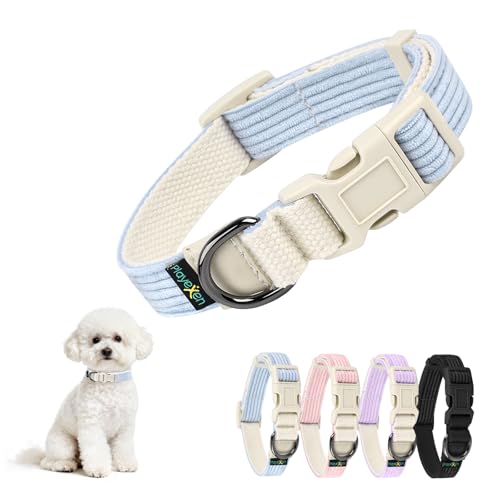 Collare per Cani Gatti Collari Regolabile 25-40 cm in Morbido Velluto a Coste con Cotone per Gatto&Cane Taglia Piccola Media Grande Accessori Collare per Cuccioli Animali di Piccola Large 2,0cm Blu
