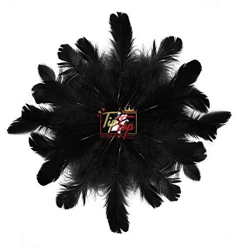 Image of TIPTOP DECORATION Natural Dyed Feathers 10 cm (80 pieces) (Black)