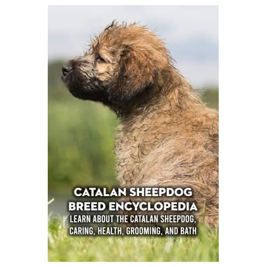 Catalan Sheepdog Breed Encyclopedia: Learn about The Catalan Sheepdog, Caring, Health, Grooming, and Bath: Catalan Sheepdog Profile