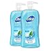 Dial Body Wash, Spring Water, 32 Ounces (Pack of 2)