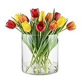 TREND FOR HOME Deko-Glasbehälter 19 cm Zylinder Vase Blumenvase Kerzenständer Stumpenkerzen Kerzenhalter Glasvase Bodenvase Groß Deko Hochzeit Transparent | Ø 19 cm | 4848 ml | Naida