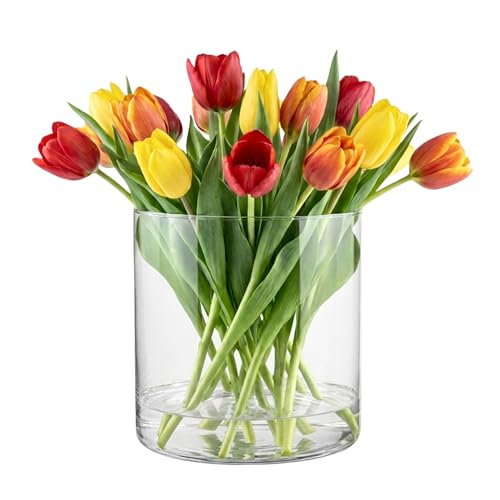 TREND FOR HOME Deko-Glasbehälter 19 cm Zylinder Vase Blumenvase Kerzenständer Stumpenkerzen Kerzenhalter Glasvase Bodenvase Groß Deko Hochzeit Transparent | Ø 19 cm | 4848 ml | Naida
