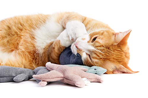 COSY AND DOZY Giocattolo per gatti, 13 x 13 cm