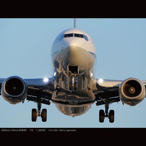 Image of Panasonic (H-RSA100400) 100-400mm, F4.0-6.3 II ASPH, Micro Four Thirds Camera Lens