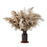 YXCHUA Pampasgras 20 Stück 45 cm Natürliches-Trockenblumen Dekor Groß - Können für Hochzeitsdekoration und Familiendekoration Verwendet Werden.