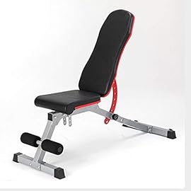 TOE Adjustable Dumbbell Bench Max Weight 660lbs Multifunctional Bench Home Gym Weight Bench Workout Bench Fitness Bench for Indoor Exercise