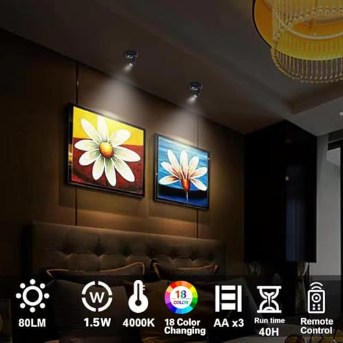 HAMVIDNE LED Spotlight, Battery Operated Picture Light, Indoor Upright, Puck Light with Remote Control, Color Changing Small Spotlight, Wall Display Dart Board Painting Picture Light-RGB