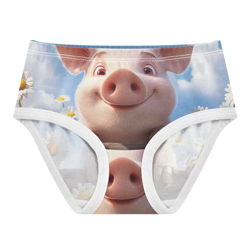 Funny Cute Piggy Flowers Sky Little Girl Panties Girls Underwear Toddler Cotton Fun Print Undies Kids Briefs 2t