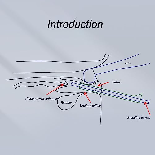Hastes de Reprodução Deferens para Armas, Cateteres Redondos Transparentes, Melhoram a Saúde do Gado