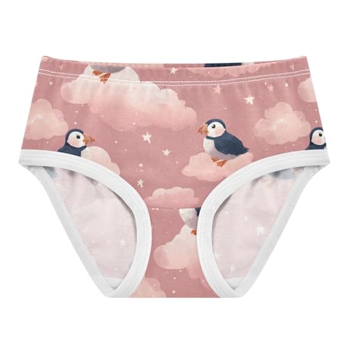 Wusikd Seagulls Girls' Underwear Cotton Clouds Stars Girls Briefs Soft Toddler Underwear 2T
