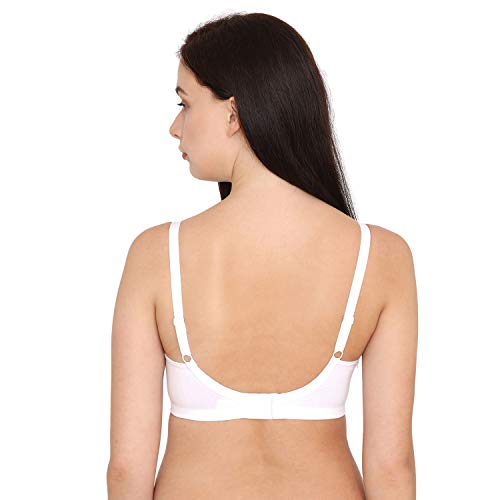 Image of Zivame Women Padded Bra