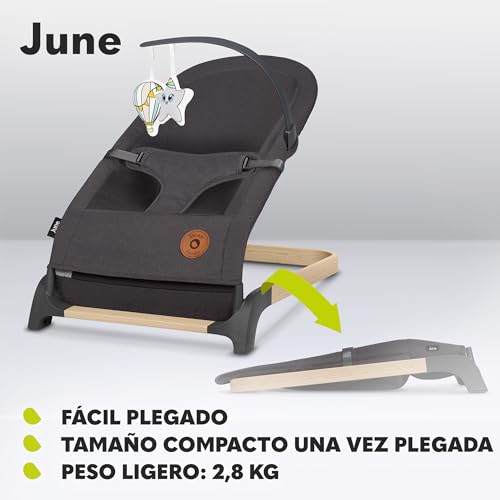 Miniatura 6 de LIONELO June hamaca de bebé, movimiento natural del balanceo, desde los primeros días de vida hasta los 9 kg, ligera, estable, antideslizante, cinturones de seguridad, hamaca plegable para bebes | De Bebé, Movimiento Natural del Balanceo, desde los Primeros Días de Vida hasta los 9 kg, Ligera, Estable, Antideslizante
