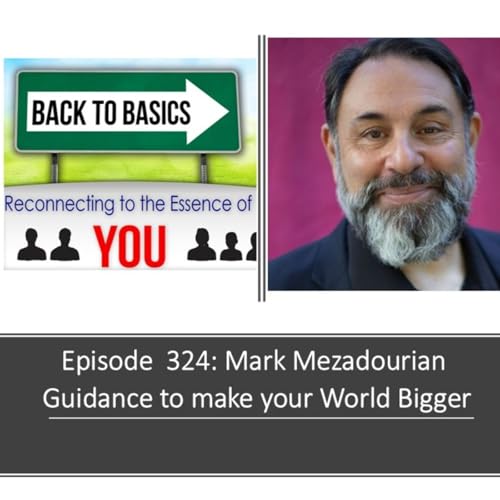 E324: Mark Mezadourian - Guidance to make your World Bigger