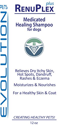 Evolution Pets Best Itchy Dog Shampoo. Renuplex Plus Medicated Dog Shampoo. Safe, All Natural Dog Shampoo For Itchy Skin And Dog Dry Skin #TOP1