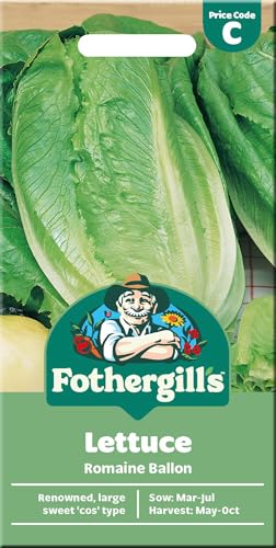 Fothergill's Cos Lettuce Seeds 'Romaine Ballon'