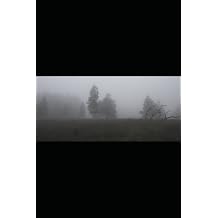 ECHOES OF ENTROPY Patterns of Power, Faith, and Survival in the Modern World A Book of Whispers