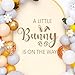A Little Bunny is On The Way Sign Balloon Arch Decor Sticker，Baby Shower Party Rabbit Themed Decal Sign，Gender Reveal Party Decorations, for Spring Easter Rabbit Themed Baby Shower
