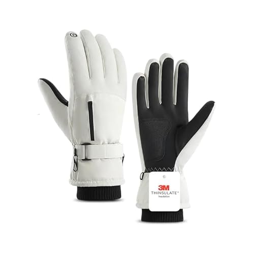 スキーグローブ