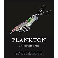 Plankton